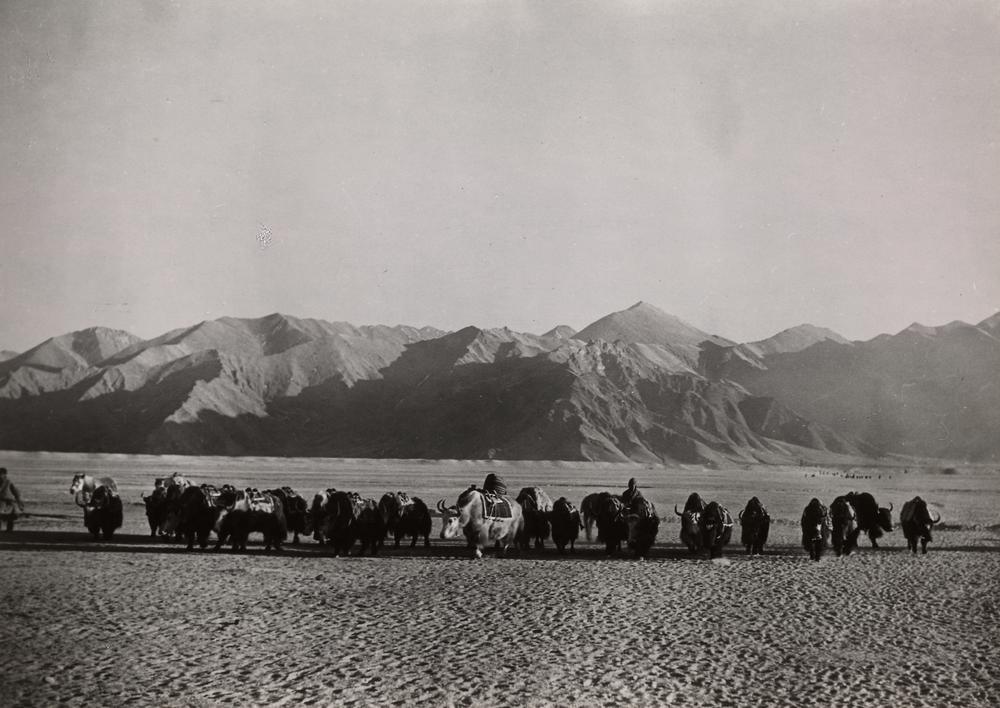 图片[1]-photographic print(black and white); album BM-1986-0313-0.1.59-China Archive